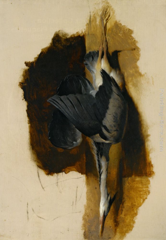 Study of a Dead Heron painting - Sir Edwin Henry Landseer Study of a Dead Heron art painting